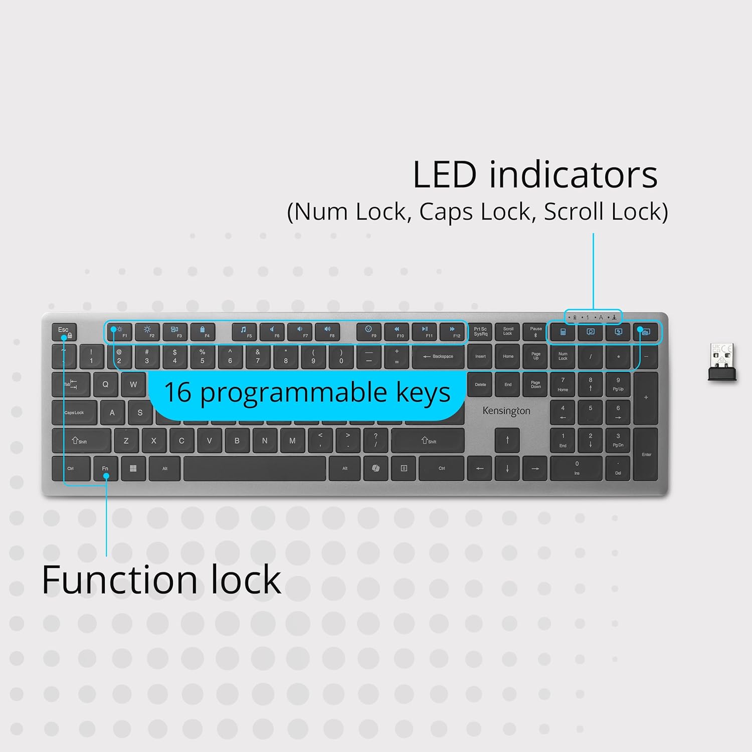 LED indicators (Num Lock, Caps Lock, Scroll Lock)  
16 programmable keys  
Function lock