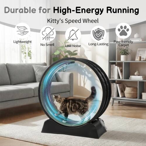 Durable for High-Energy Running  
Kitty's Speed Wheel  
Lightweight  
No Smell  
Low Noise  
Long-Lasting  
Paw-friendly Carpet