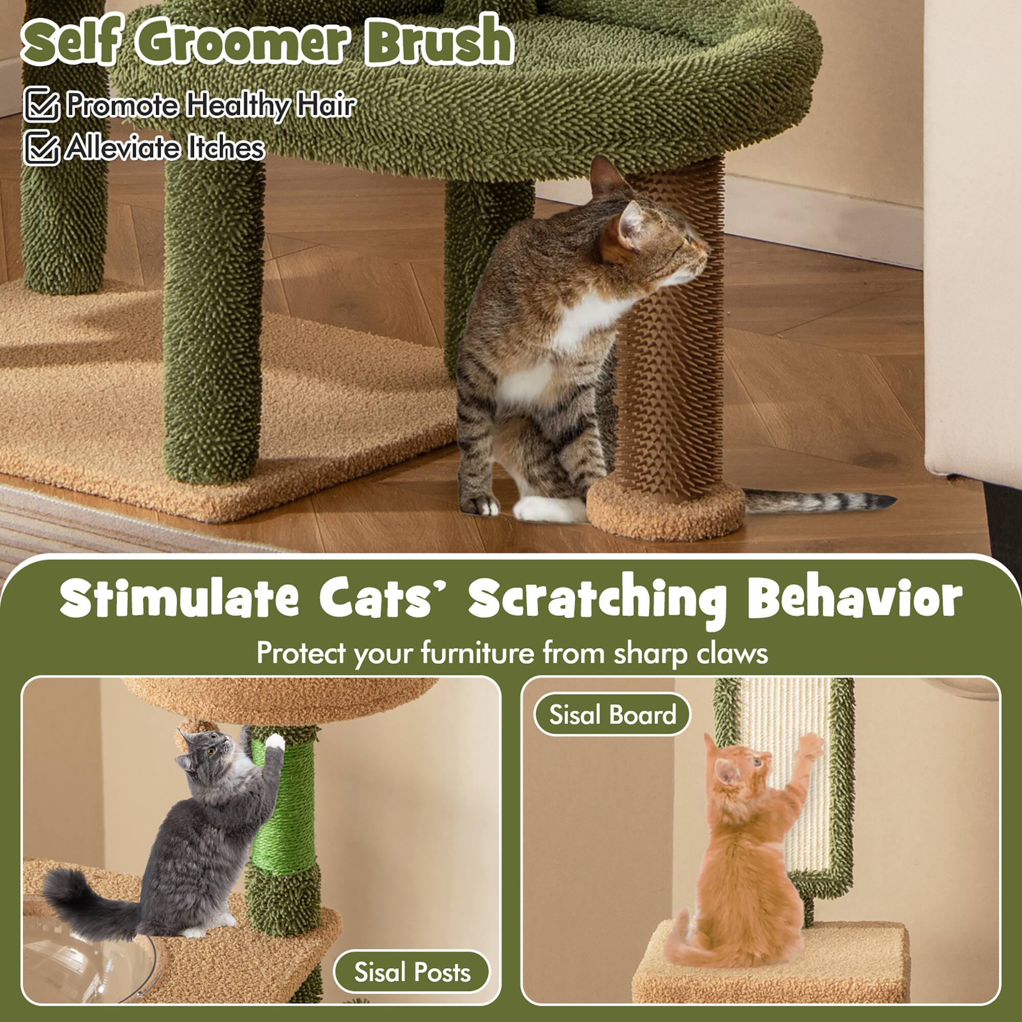 Self Groomer Brush  
- Promote Healthy Hair  
- Alleviate Itches  

Stimulate Cats' Scratching Behavior  
Protect your furniture from sharp claws  

Sisal Board  
Sisal Posts