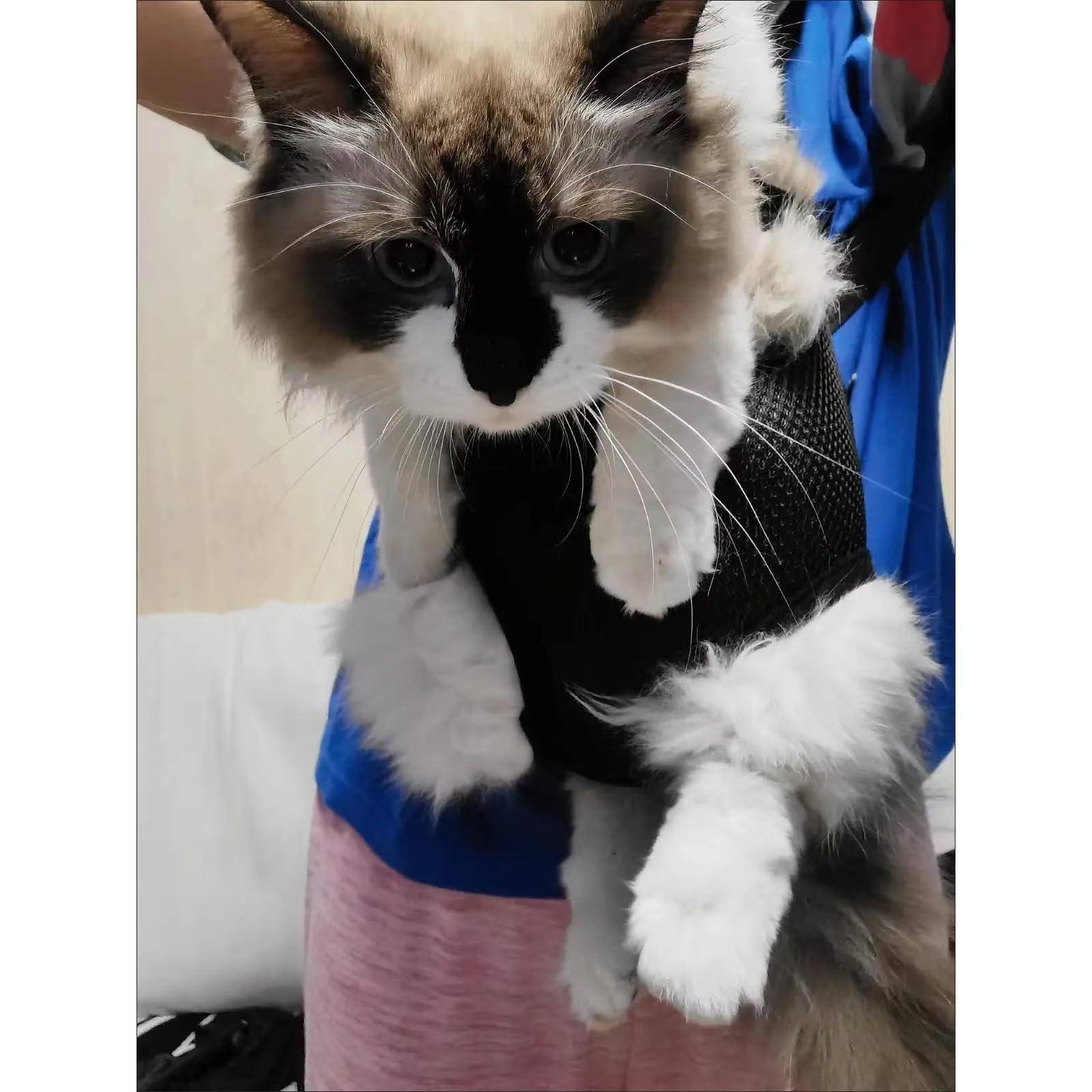 Front. Live At Space - Pet Carrier Backpack - Adjustable Front Cat Dog Travel Bag Out Easy-fit For Traveling Hiking Camping Small Medium Dogs r.