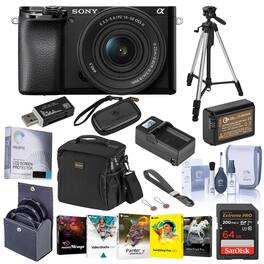 Bundle - Sony - Alpha a6100 Mirrorless Camera with 16-50mm Lens W/Premium Acc KIt