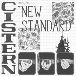 Cistern - New Standard - VINYL LP