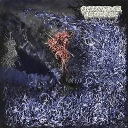 Of Feather & Bone - Sulfuric Disintegration - VINYL LP