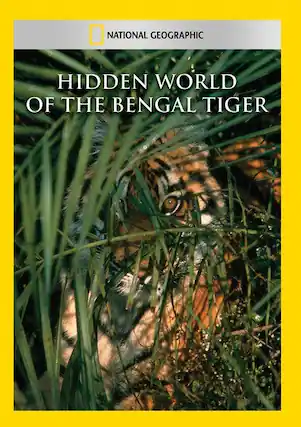 Front. Hidden World of the Bengal Tiger - DVD.