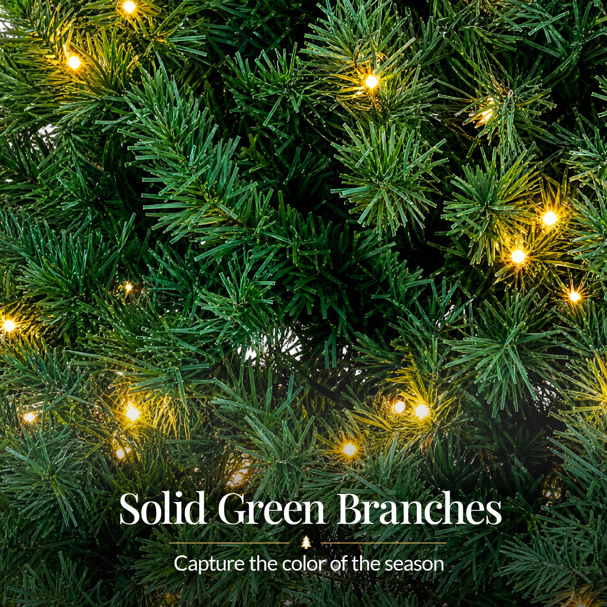 Solid Green Branches  
Capture the color of the season