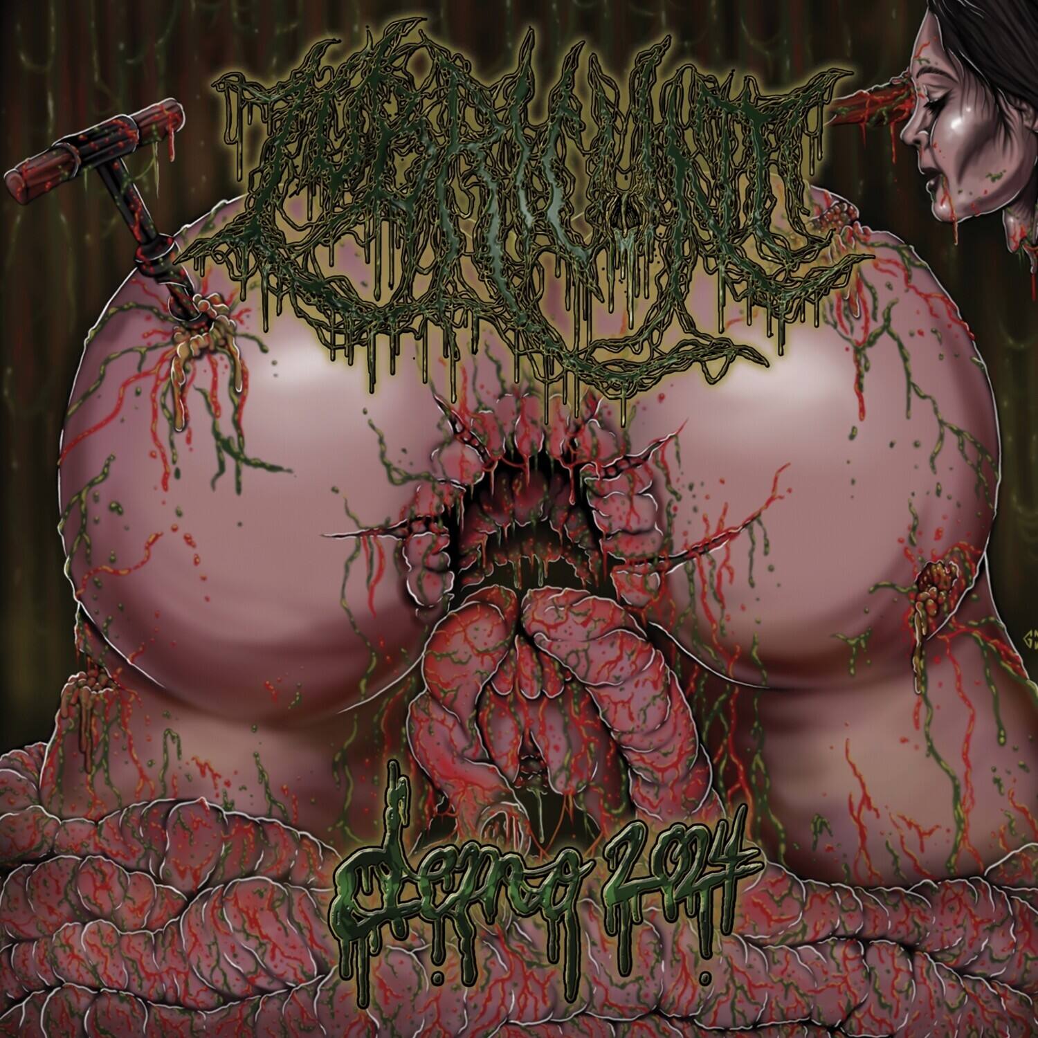 Lubricunt - Demo 2024   - COMPACT DISCS [CD] price history on PriceWatchPro