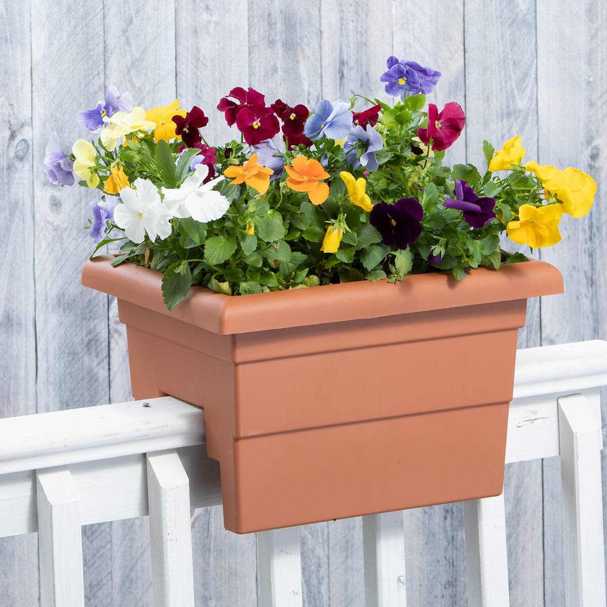 Alt View 1. Root & Vessel - 16" Countryside Rail Planter for 3.5" or 5.5" Wide Railings - Terra.