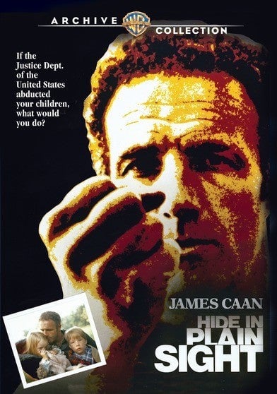 Hide in Plain Sight - DVD