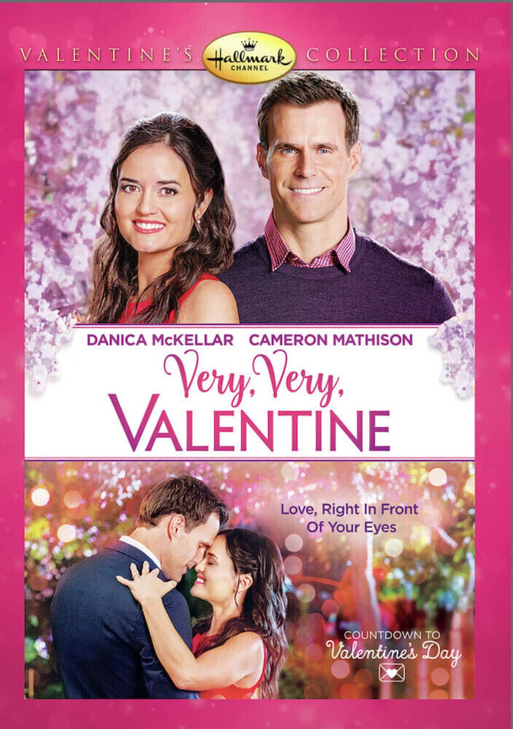Very, Very, Valentine   - DVD price history on PriceWatchPro