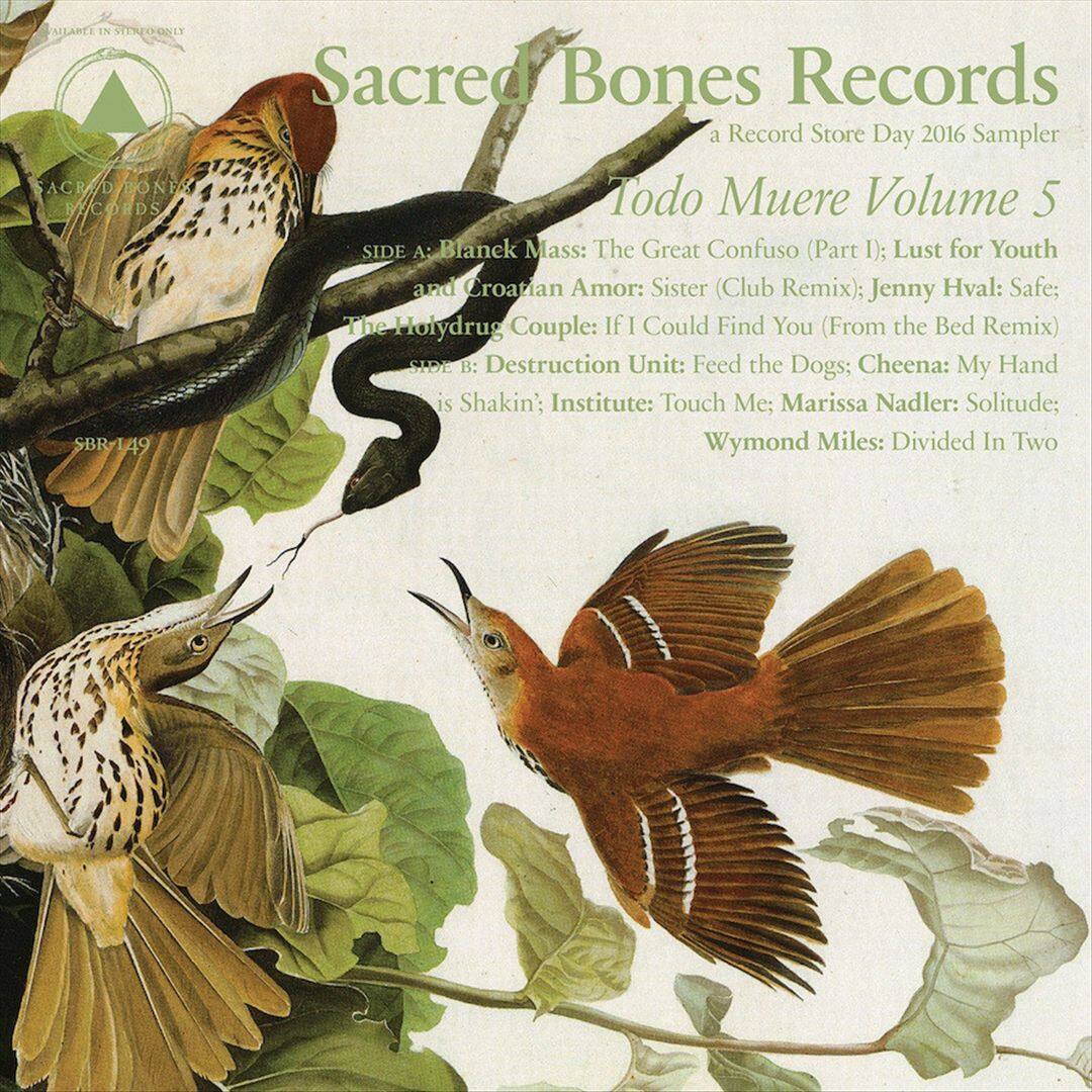 Todo Muere, Vol. 5 [LP] [VINYL] price history on PriceWatchPro