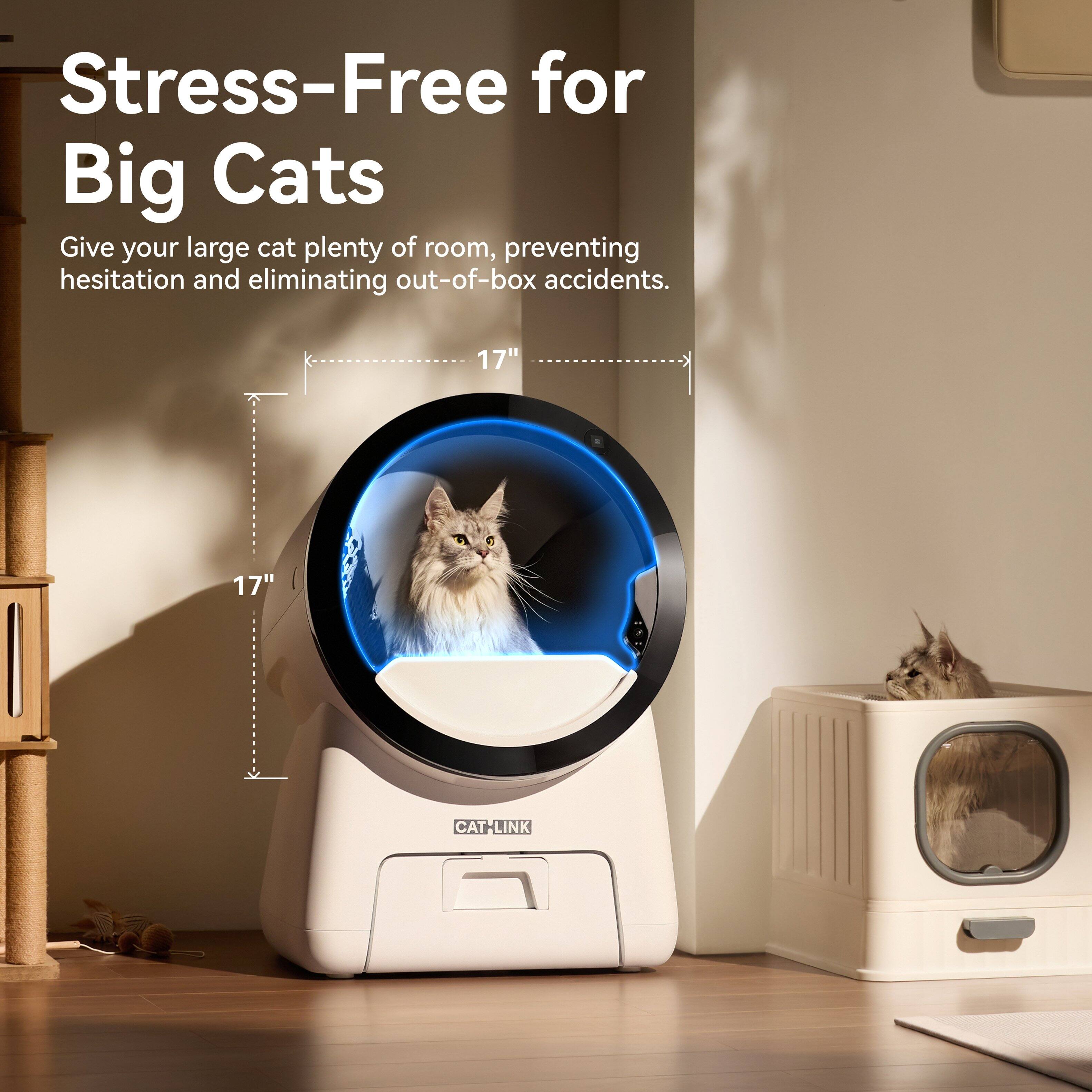Stress-Free for Big Cats

Give your large cat plenty of room, preventing hesitation and eliminating out-of-box accidents.

17" 17" CAT-LINK