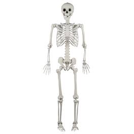 Gymax - 5.4 FT Halloween Skeleton Decoration Life Size Large Skeleton w/ Posable Joints - White