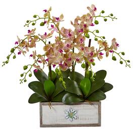BreeBe - 23" Phalaenopsis Orchid Arrangement in Decorative Wood Vase - Green