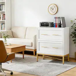 Forest'nSky - Sleek File Storage Cabinet - Durable Metal Office Organizer with Locking Drawers,White