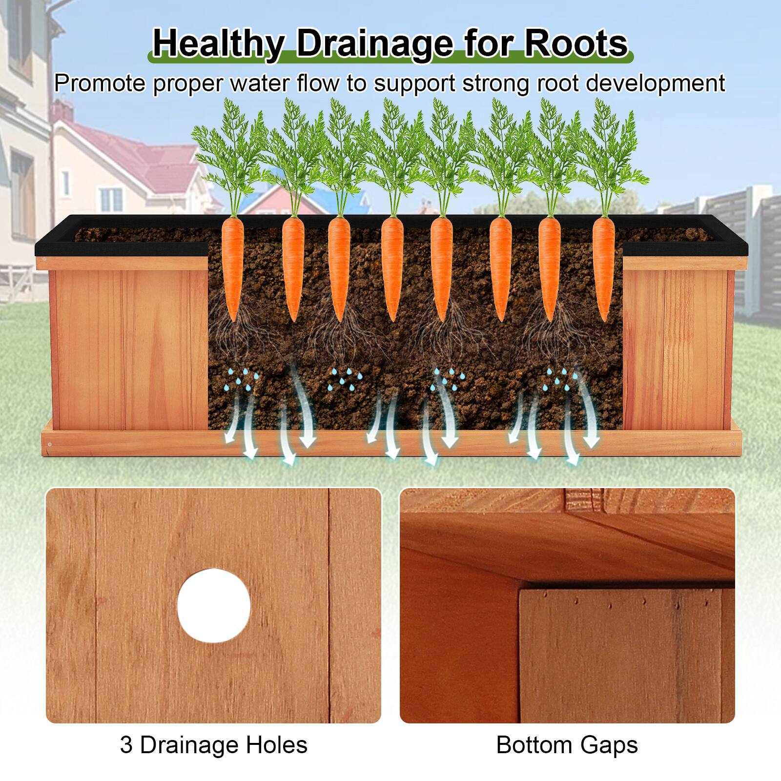 Healthy Drainage for Roots  
Promote proper water flow to support strong root development  

3 Drainage Holes  
Bottom Gaps