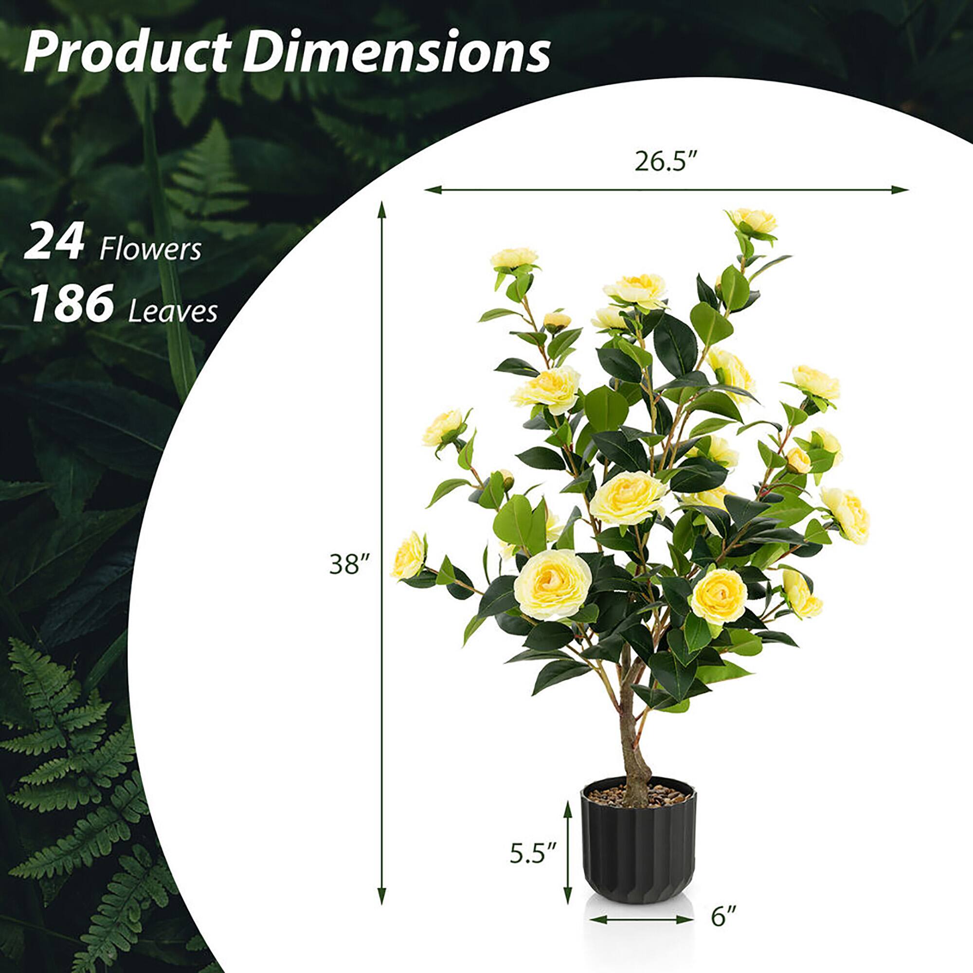 Product Dimensions

24 Flowers  
186 Leaves  

26.5"  
38"  
5.5"  
6"