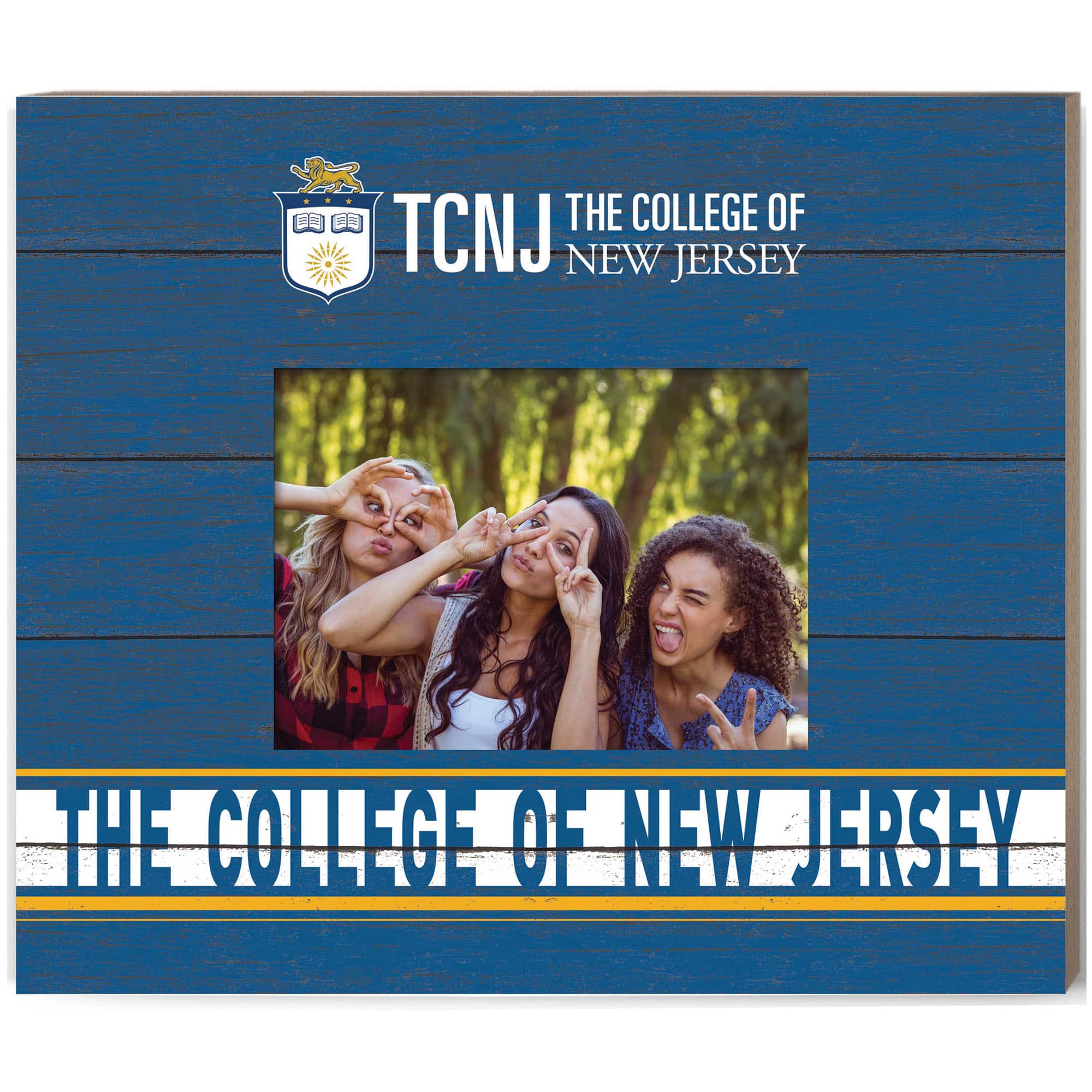 "Jardine - College of New Jersey Lions 11"" x 13"" Team Spirit Scholastic Picture Frame - Blue" price history on PriceWatchPro