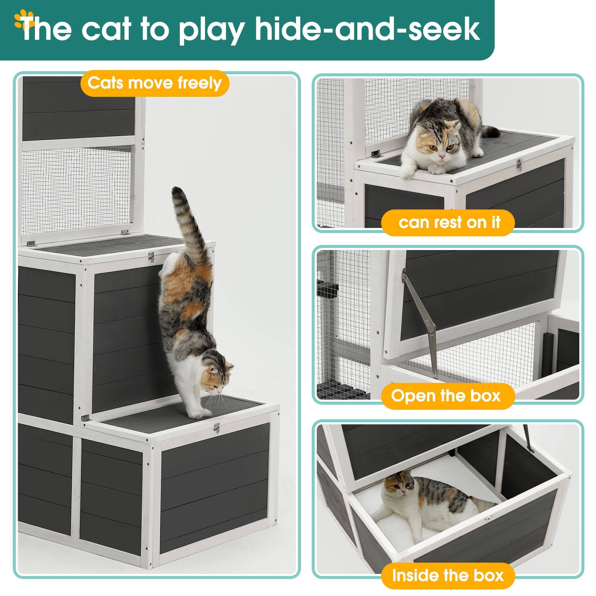 The cat to play hide-and-seek

- Cats move freely
- can rest on it
- Open the box
- Inside the box