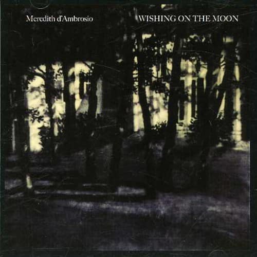Meredith d'Ambrosio - Wishing on the Moon   - COMPACT DISCS [CD]