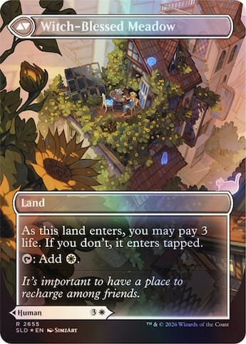 Wizards of The Coast Magic: the Gathering TCG: Secret Lair Witch's Wizards of The Coast Magic: the Gathering TCG: Secret Lair Witch's