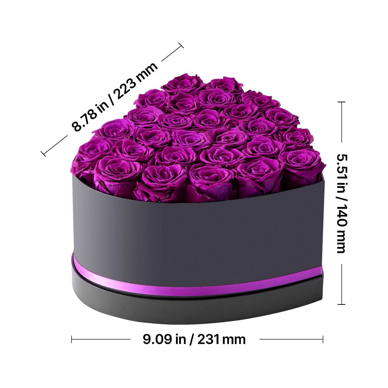 - Height: 5.51 in / 140 mm
- Diameter: 8.78 in / 223 mm
- Base Diameter: 9.09 in / 231 mm