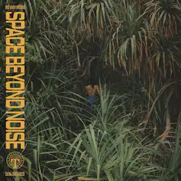 Not Even Noticed - Space Beyond Noise - VINYL LP