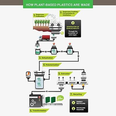 HOW PLANT-BASED PLASTICS ARE MADE

1. Sugarcane Cultivation
2. Sugarcane Crushing, Fermentation & Distillation
   - GENERATION OF BIO-ELECTRICITY Through the remainder of sugar cane
3. Dehydration
4. Polymerization
5. Extrusion
6. Transformation
7. Recycling

ENERGY RECYCLING RECYCLING MACHINE