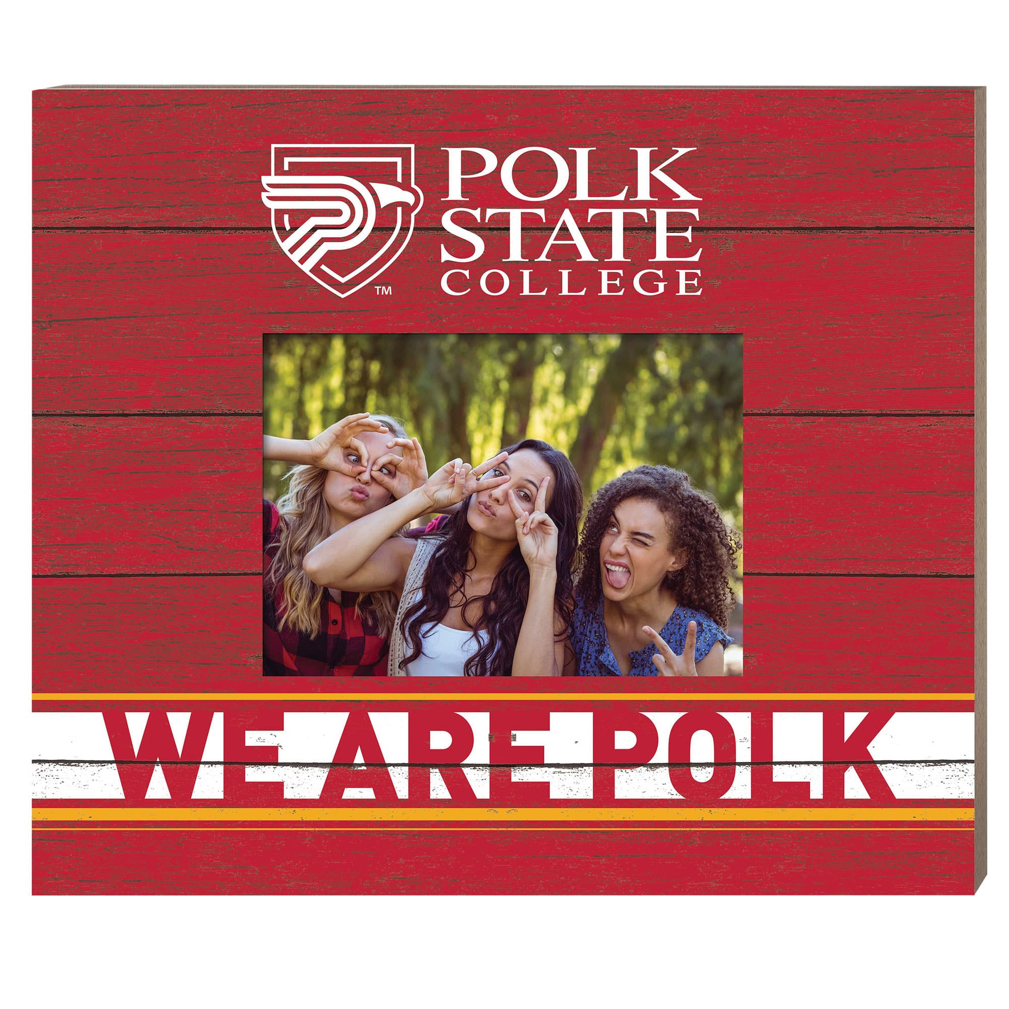 "Jardine - Polk State College Eagles 11"" x 13"" Team Spirit Scholastic Picture Frame - Red" price history on PriceWatchPro