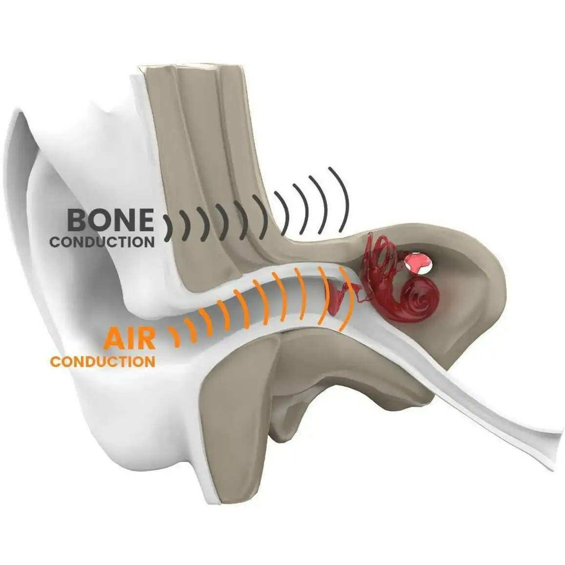 BONE CONDUCTION AIR CONDUCTION