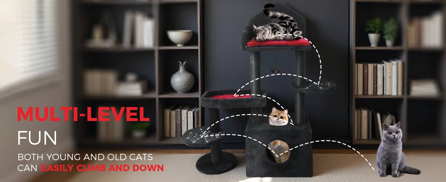 MULTI-LEVEL FUN  
BOTH YOUNG AND OLD CATS CAN EASILY CLIMB AND DOWN