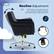 Recline Adjustment:
1. Pull the lever on the side of the chair out to unlock the recline mechanism.
2. Twist the knob to adjust the tension.
