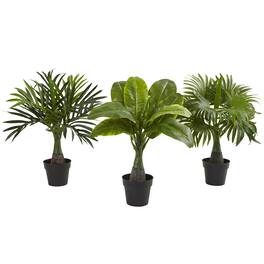 BreeBe - Areca Fountain & Banana Palm (Set of 3) - Green