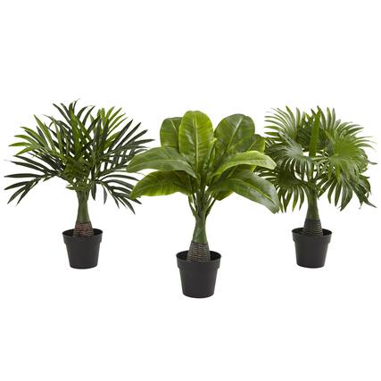 Front. BreeBe - Areca Fountain & Banana Palm (Set of 3) - Green.