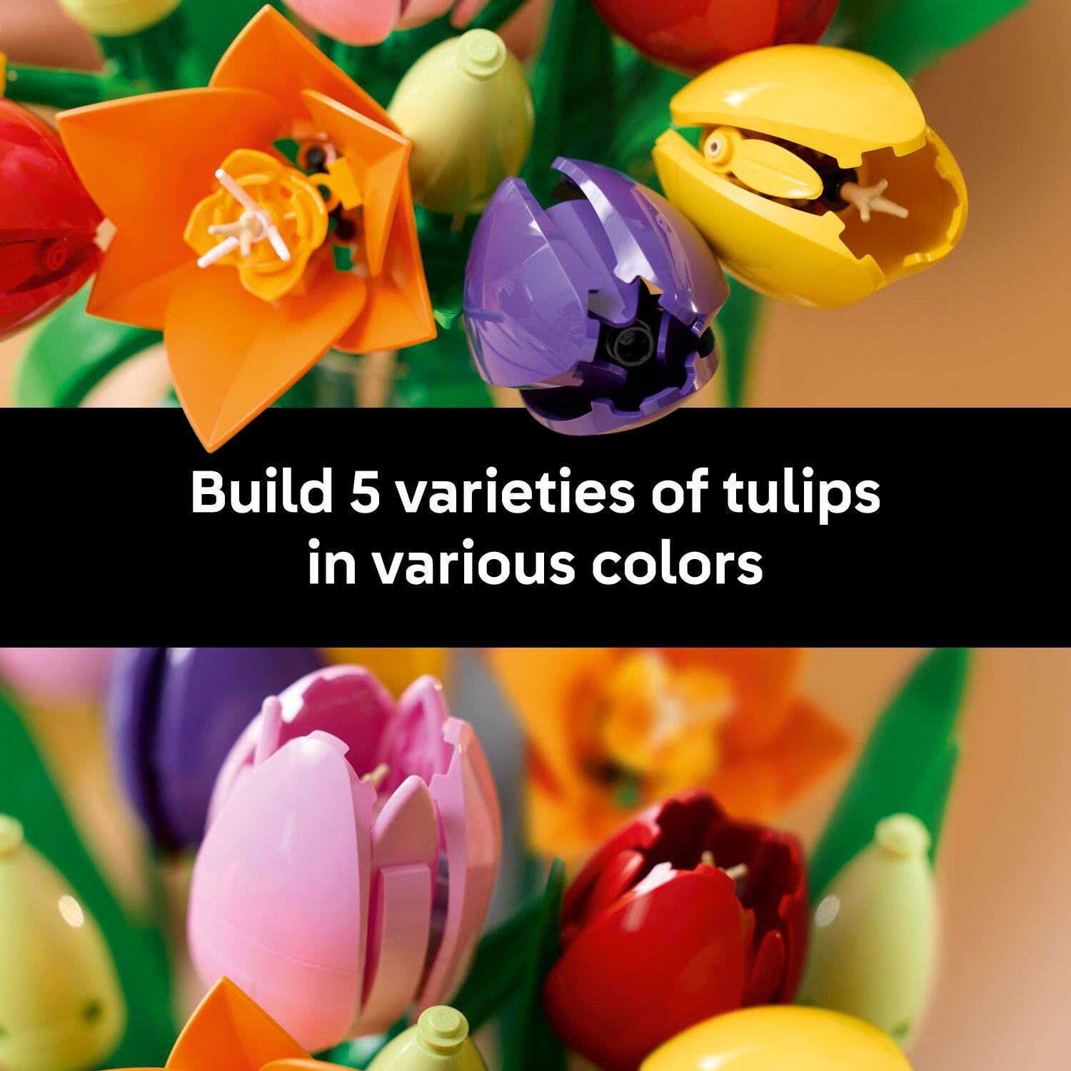 Build 5 varieties of tulips in various colors