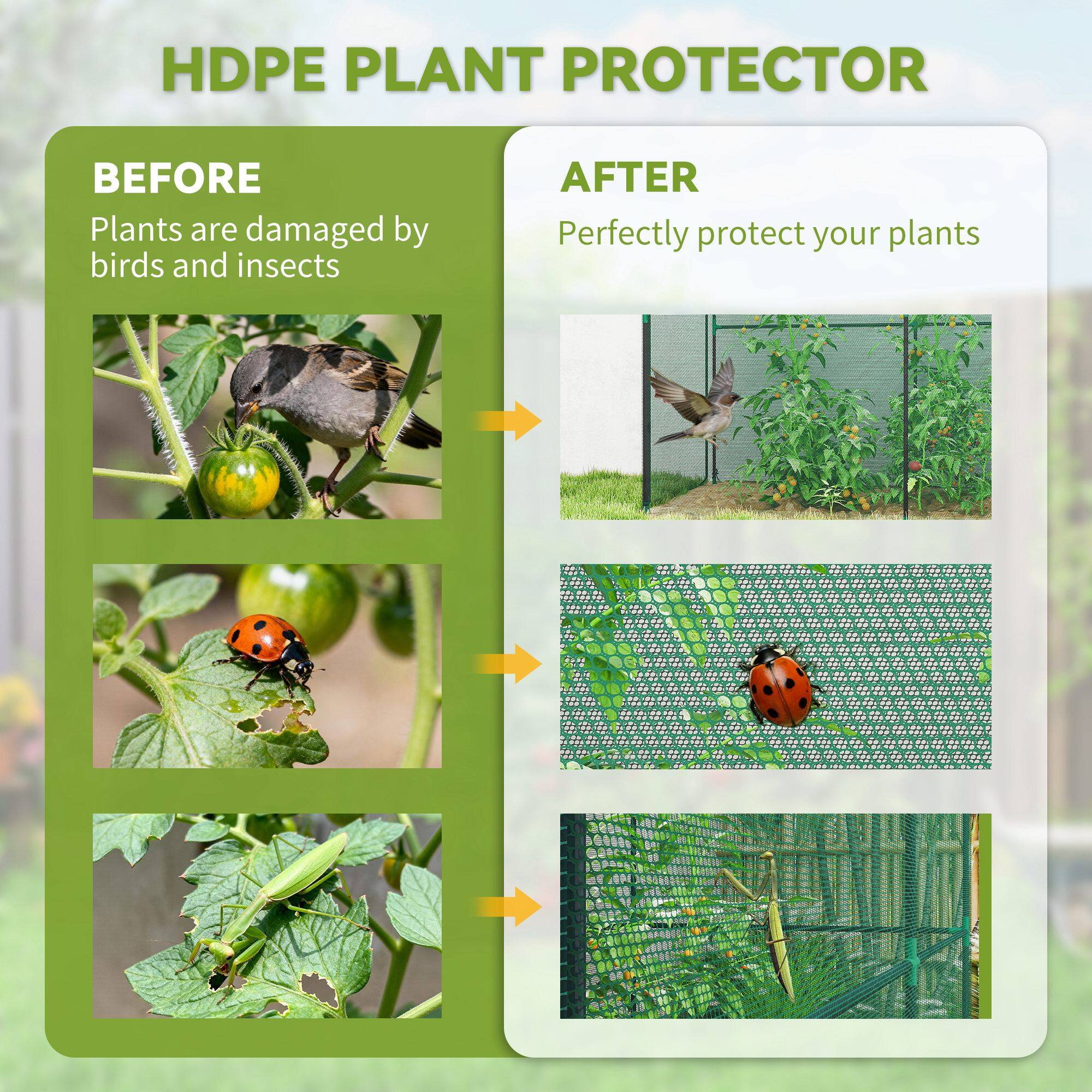 HDPE PLANT PROTECTOR

BEFORE  
Plants are damaged by birds and insects

AFTER  
Perfectly protect your plants