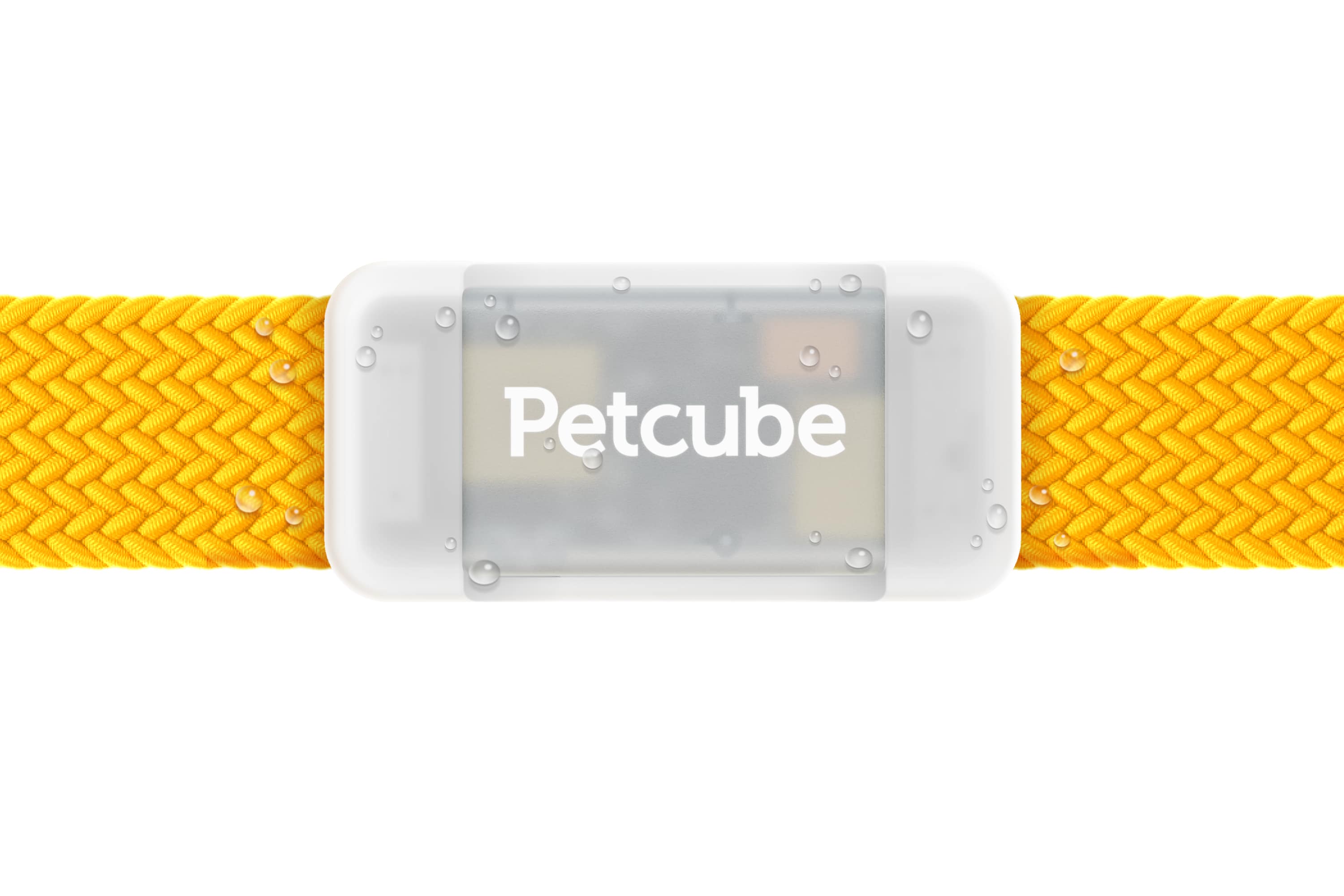 Petcube - GPS Tracker | Pet GPS Tracker with Escape Alerts, Virtual Fences, Activity Monitoring, Glow, Waterproof - Gray