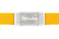 Front. Petcube - GPS Tracker | Pet GPS Tracker with Escape Alerts, Virtual Fences, Activity Monitoring, Glow, Waterproof - Grey.