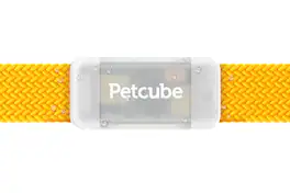 Petcube - GPS Tracker | Pet GPS Tracker with Escape Alerts, Virtual Fences, Activity Monitoring, Glow, Waterproof - Gray