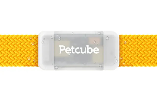 Front. Petcube - GPS Tracker | Pet GPS Tracker with Escape Alerts, Virtual Fences, Activity Monitoring, Glow, Waterproof - Grey.