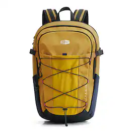 Bagsmart - Faro 22L Daypack, Water-Repellent Backpack with 15" Laptop Compartment for Work, Campus & Commuting - Yellow