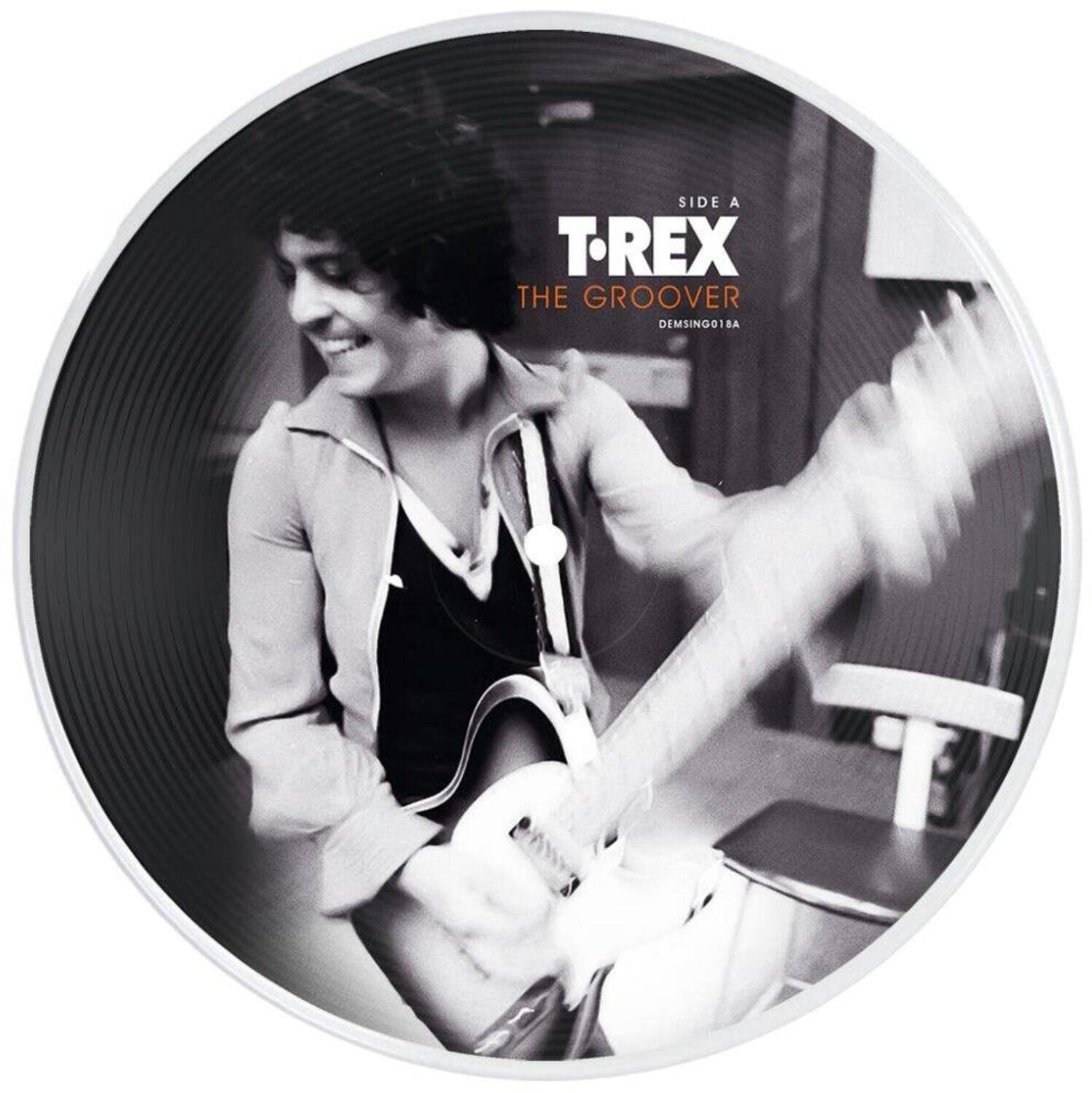 SIDE A  
T-REX  
THE GROOVER  
DEMSING018A