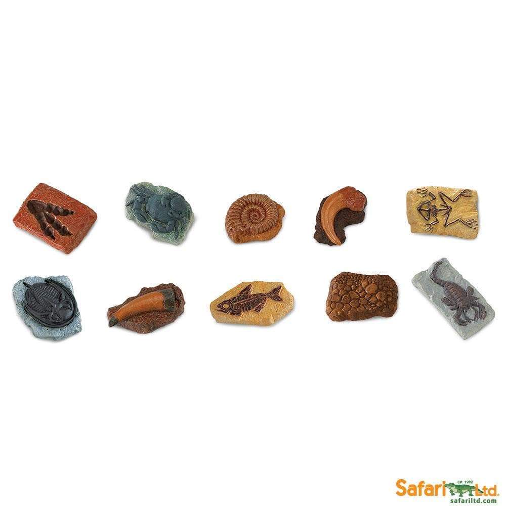 1 or 2. Safari Ltd. safariltd.com