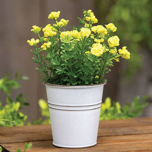 Angle. BreeBe - Yellow Astilbe Flowers in White Metal Garden Bucket - Yellow, White.