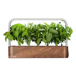 EDN - Smart Garden for Herbs and Plants - Brown