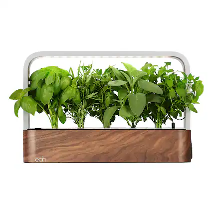 Front. EDN - Smart Garden for Herbs and Plants - Brown.