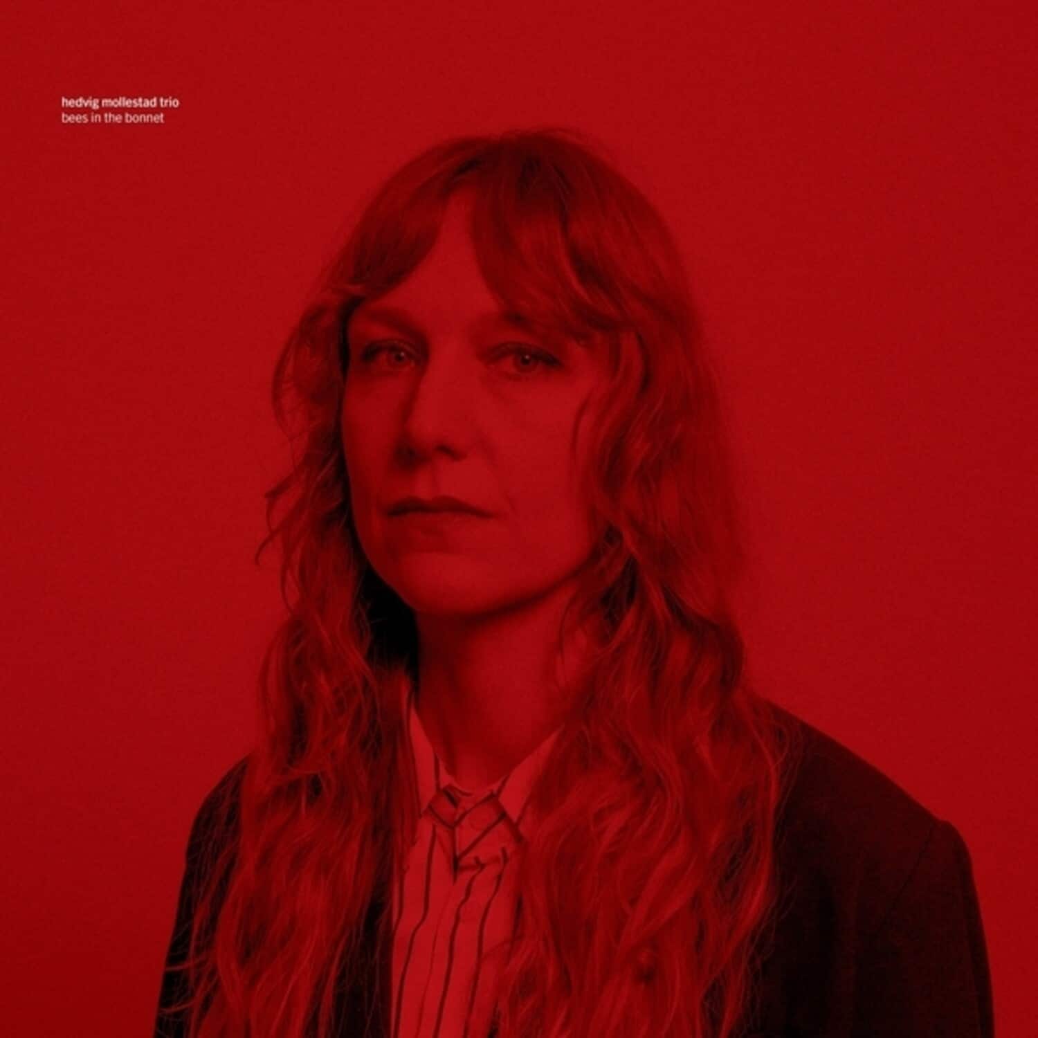 Hedvig Trio Mollestad - Bees In The Bonnet   - VINYL LP price history on PriceWatchPro