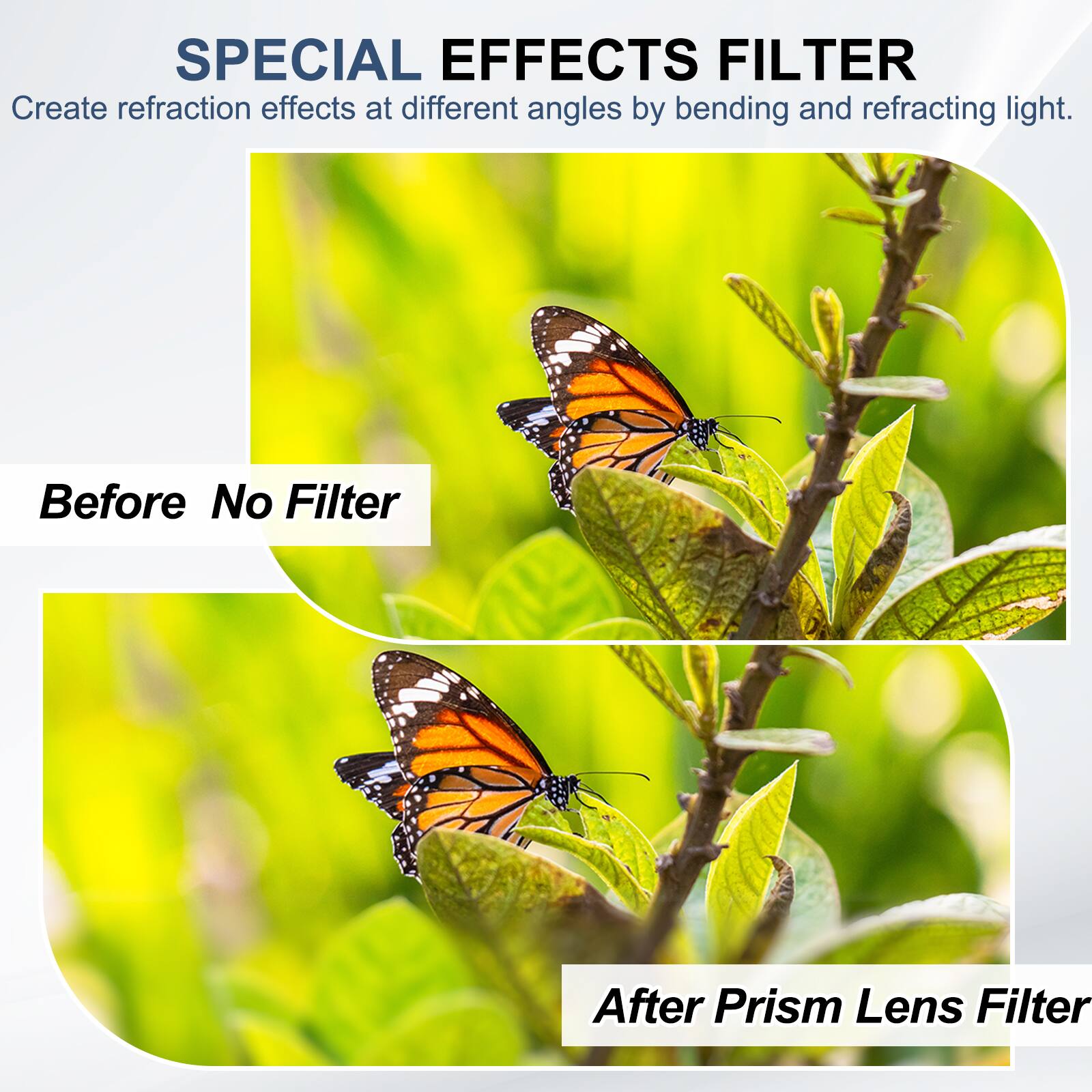 SPECIAL EFFECTS FILTER  
Create refraction effects at different angles by bending and refracting light.

Before No Filter

After Prism Lens Filter