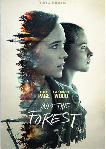 Into the Forest  - DVD