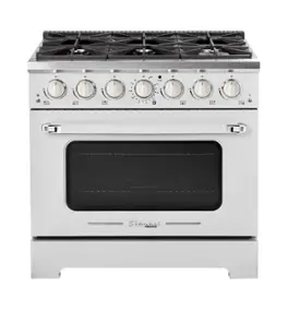 Unique Appliances - Classic Retro 5.2 Cu. Ft. Freestanding Gas Convection Range - Marshmallow White