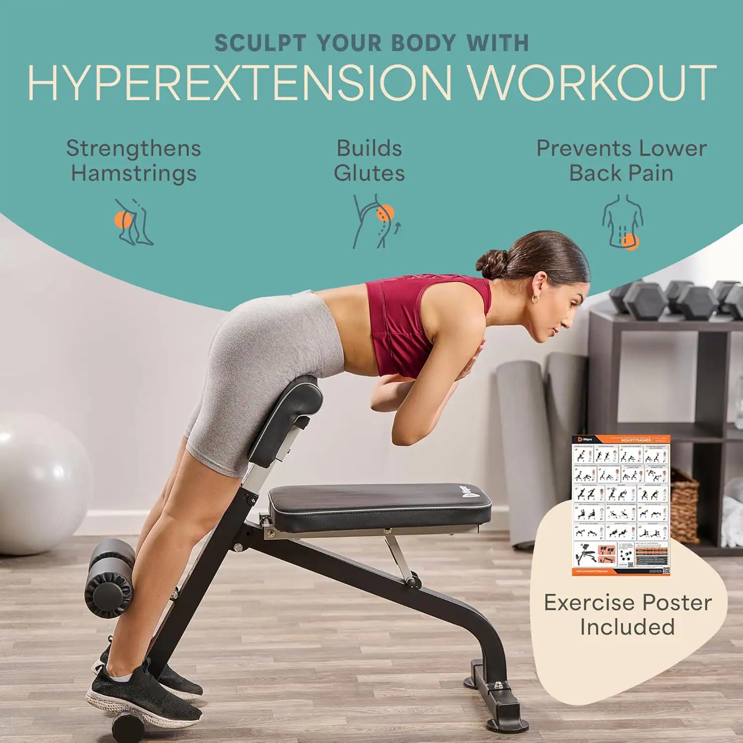 LifePro Roman Chair Hyperextension Bench Adjustable Back Extension ...